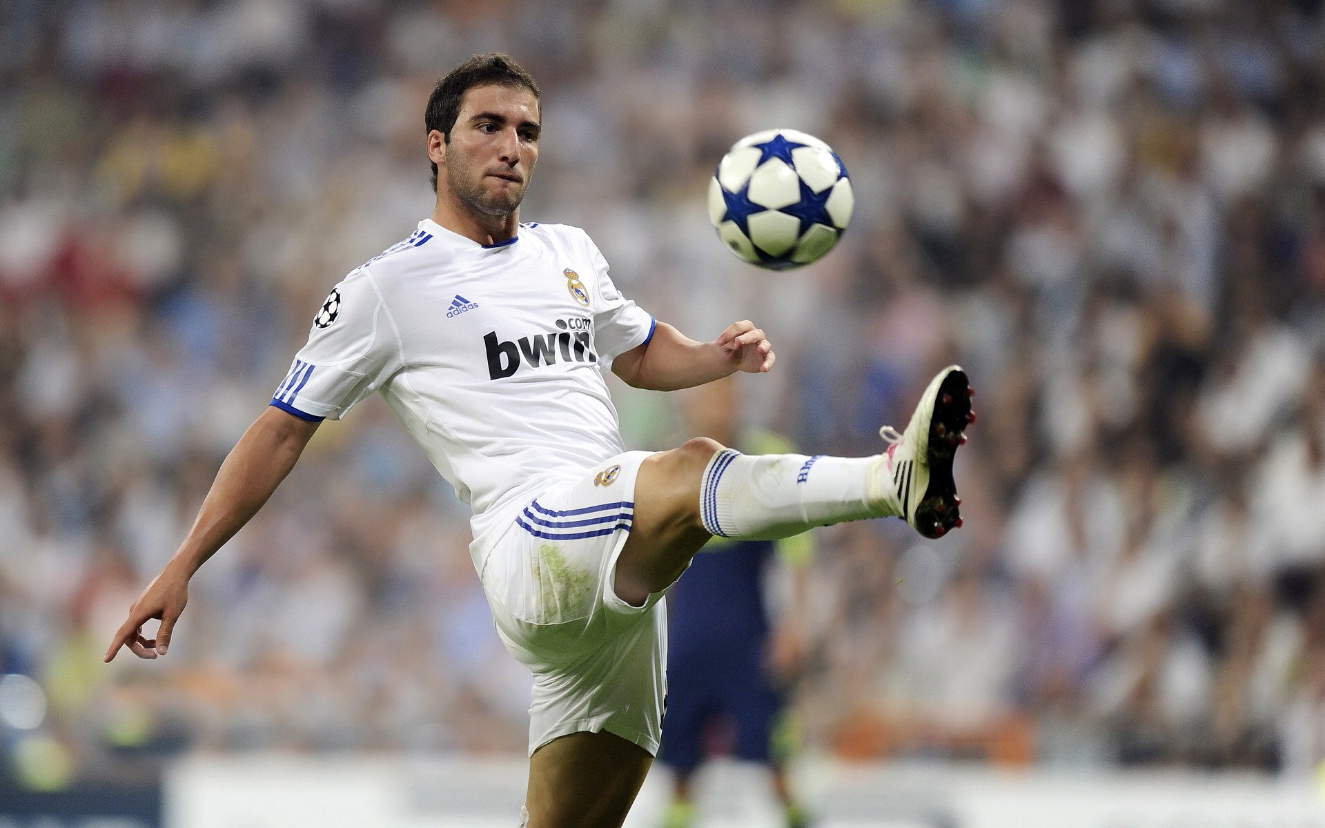 _森林冒险跑：运动与自然的完美融合_，森林 跑步